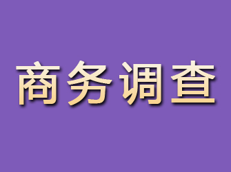 镇宁商务调查